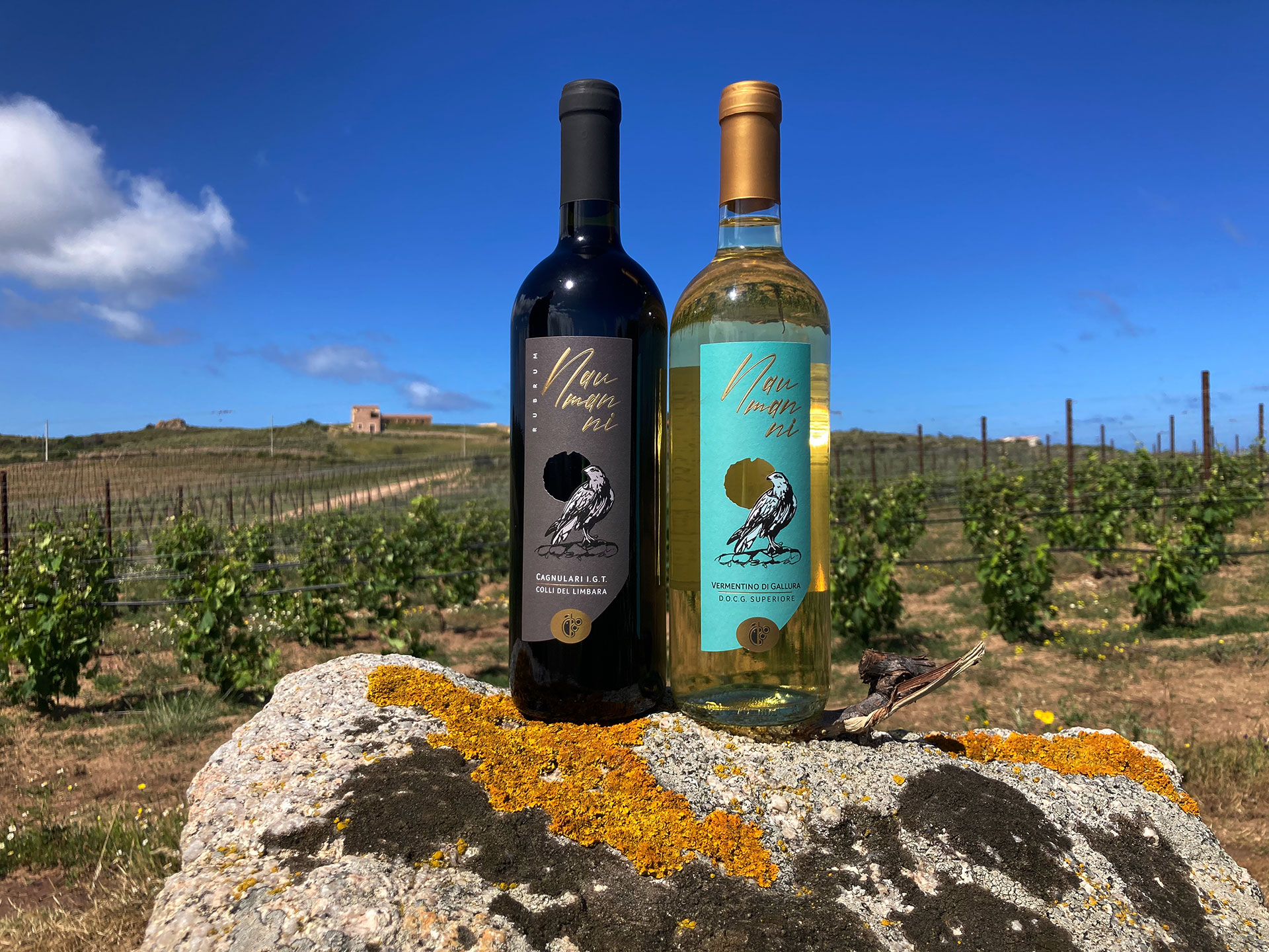 Authentic wines that reflect the territory